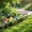 Multicolor-4B, variant on MMJ Solar Lights Outdoor Mushroom Garden Stake LED Waterproof Decorative Path Light Multicolor Solar Powered Pathway Lawn Yard Ornament
