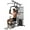 Black, variant on Soozier Multifunction Home Gym Equipment with 100Lbs Weight Stack, Black
