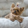 thumbnail image 4 of Elegant Pearl Adjustable Pet Collar for Dogs and Cats with Secure Chain Design, 4 of 4