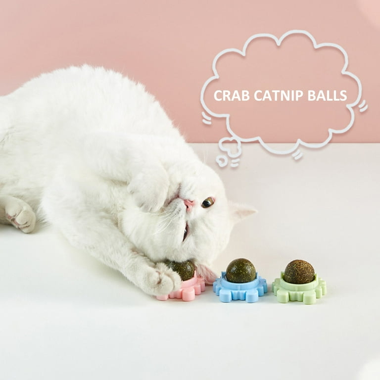 Nutrition treat hotsell ball for cats