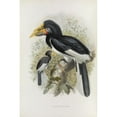 thumbnail image 2 of Daniel Giraud Elliot 11x14 Gold Ornate Wood Frame and Double Matted Museum Art Print Titled - Pholidophalus Sharpii (1882), 2 of 4