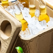 Igloo 16 Qt. RECOOL Reusable Ice Chest Cooler
