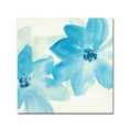 thumbnail image 1 of Trademark Fine Art 'Aqua Mint Clematis II' Canvas Art by Chris Paschke, 1 of 3