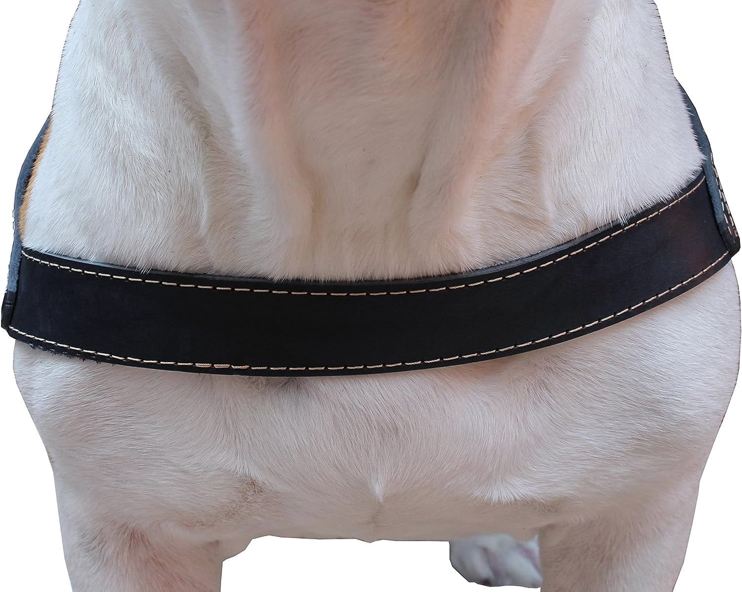 High Quality Genuine Black Leather Dog Pulling Walking Harness Large. 31"-35" Chest, 1.5" Wide Straps