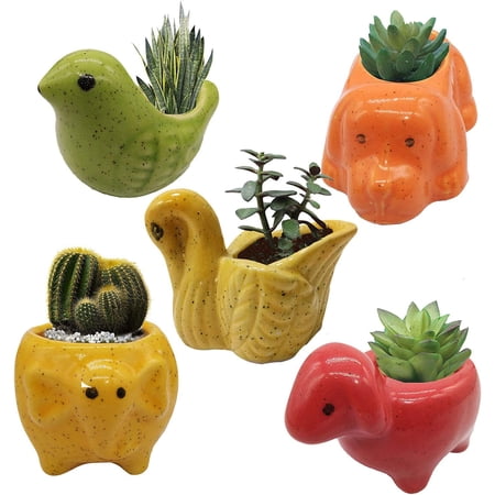 India Meets India Ceramic Flower Pot Planter Plant Pot Indoor Planter Handicraft by Awarded Indian Artisan (Elephant  Turtle  Dog  Sheep and Bird (Set of 5))