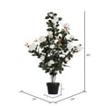 thumbnail image 3 of Vickerman 45" Artificial White Rose Plant in Pot., 3 of 5