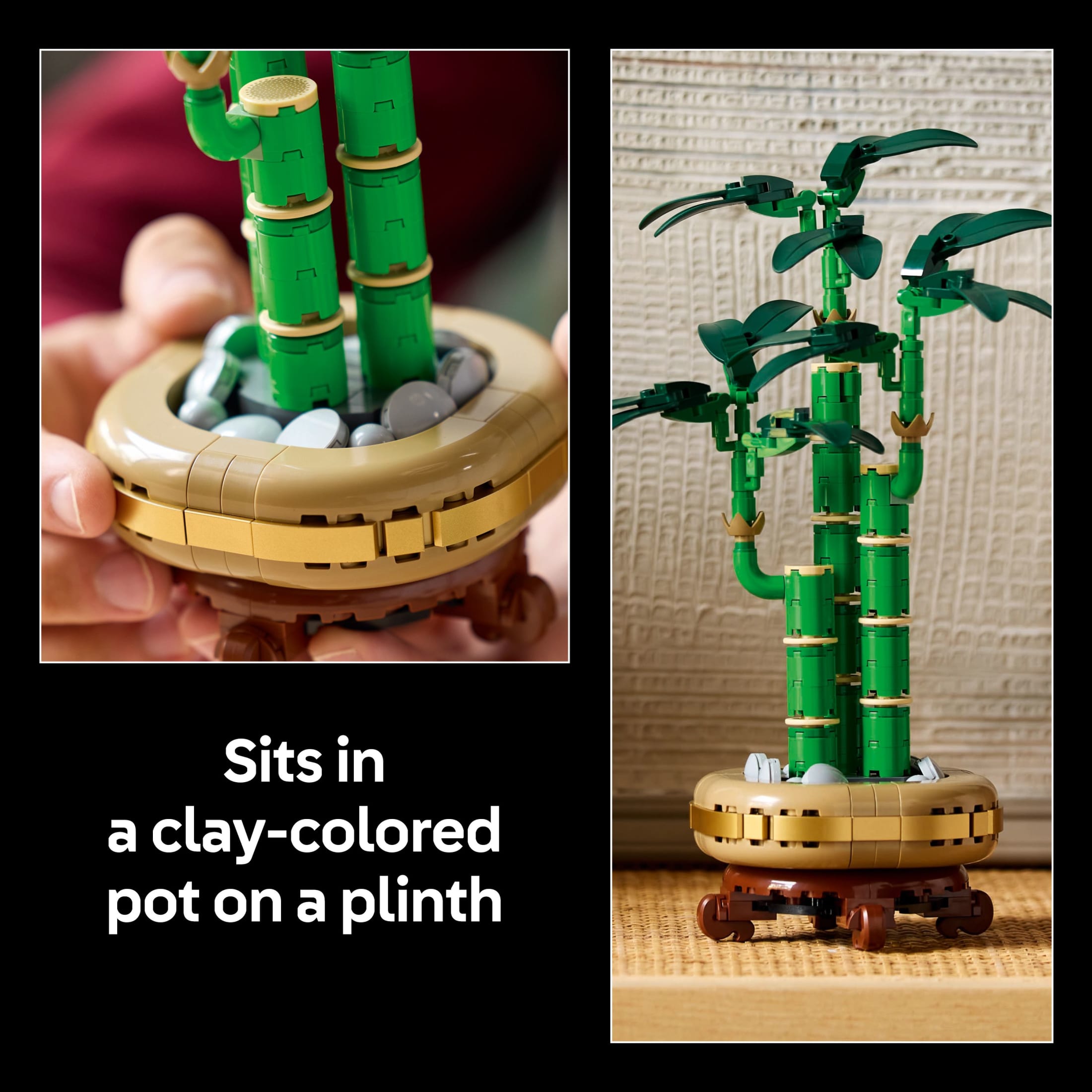 LEGO Botanicals Bambú de la Suerte Set de Construcción - Plantas Artificiales para Decoración de Interiores, Adultos Mayores de 18 Años - Idea de Regalo Única para Cumpleaños - Plantas Falsas para Mesa, Escritorio, Oficina - 10344 6