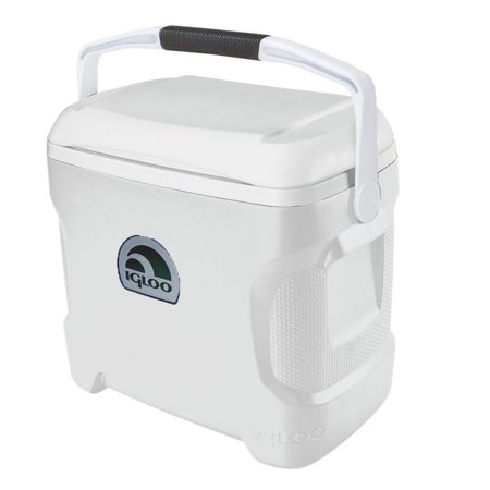 igloo 30qt