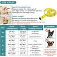 thumbnail image 3 of Bozal para perros, bozales recubiertos de malla suave para perros pequeños, medianos y grandes, bozal protector contra cebos envenenados con correas ajustables, evita morder, masticar y lamer (M), 3 of 4