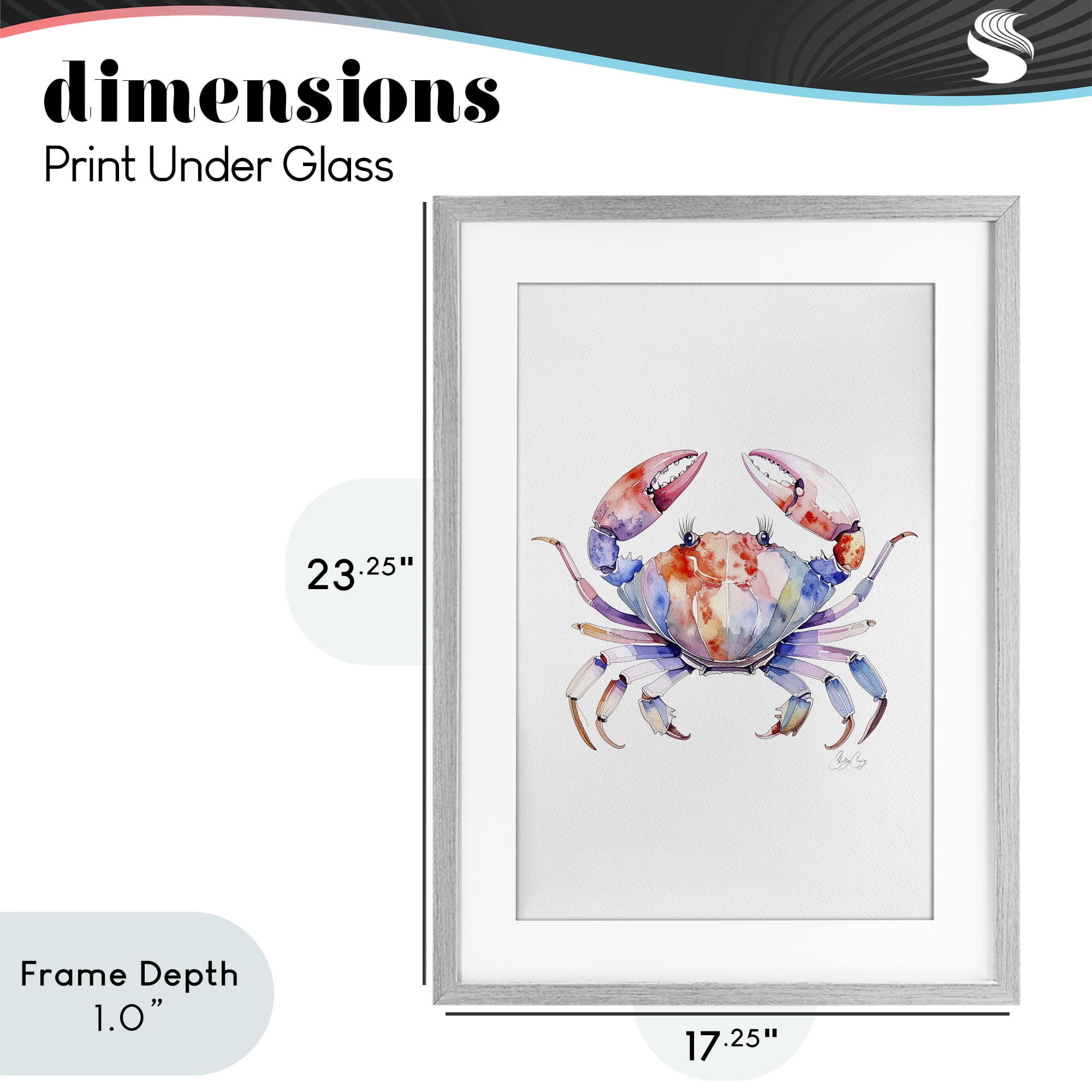 Stupell Industries Tide Dancer Crab Gray Framed Print Under Glass, design by Shelly Craig