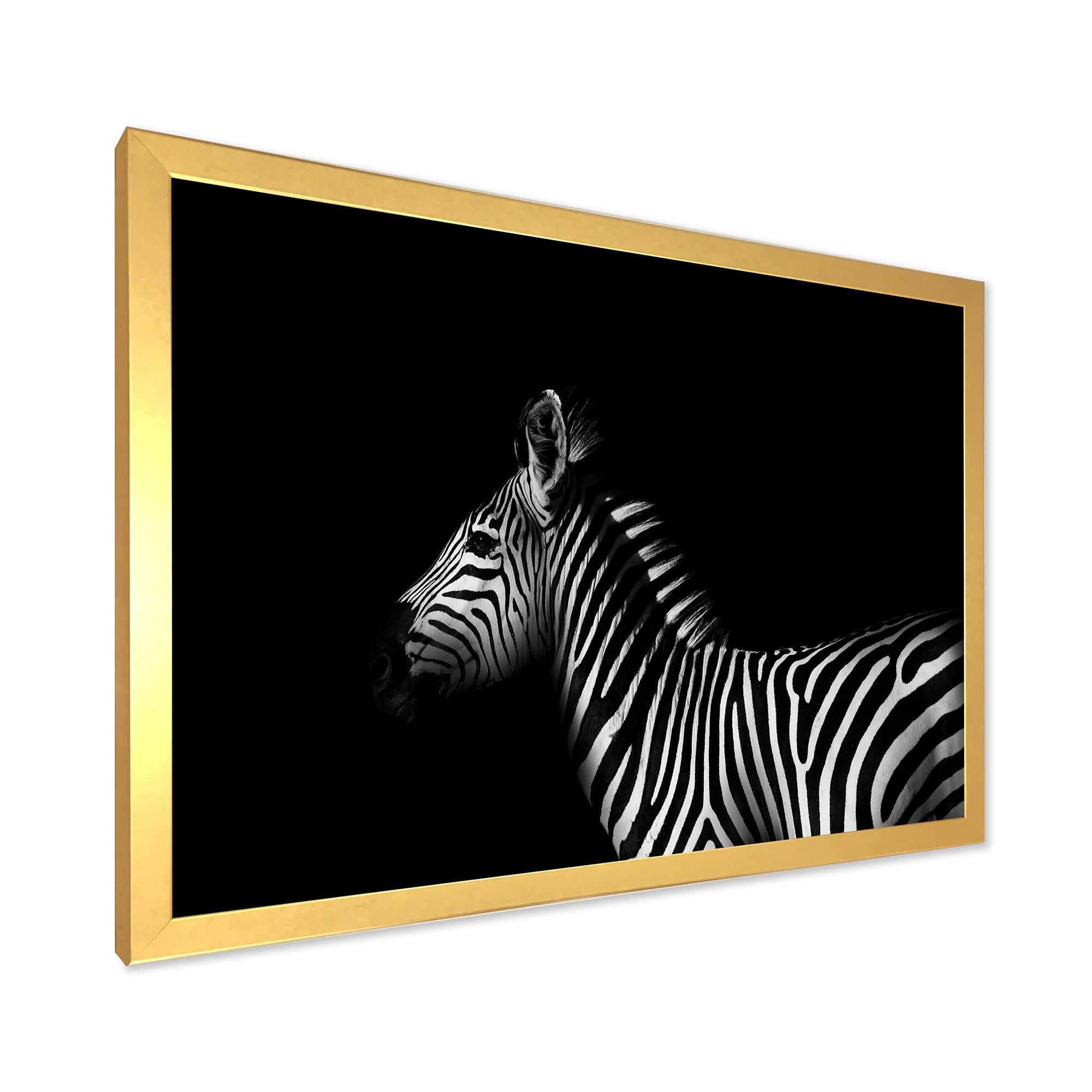 Designart 'Sideview Of Zebra In White and Black' Farmhouse Framed Art Print