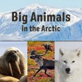 thumbnail image 2 of Big Animals in the Arctic (English) (Nunavummi), 2 of 2