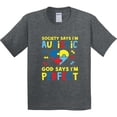 thumbnail image 3 of Inktastic Society Says I'm Autistic God Says I Am Perfect Youth T-Shirt, 3 of 5