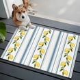 thumbnail image 3 of 2x3 Ft Entryway Area Rug, Lemon Striped Kitchen Rug Runner Washable Floor Mat, Yellow Fruit Blue White Geometric Non Slip Indoor Door Mat Throw Carpet for Bathroom Living Room Bedroom, 3 of 8