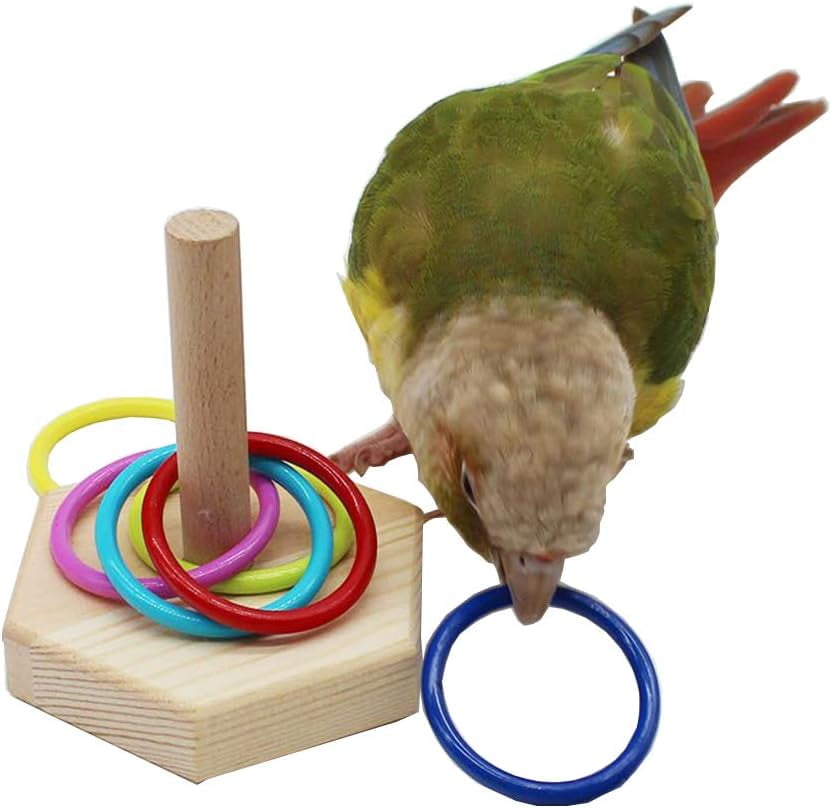 Bird Toys - Training Toys, Color Ring Sets, Chew Ball & Play Gym
