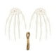 thumbnail image 2 of Colgante de Palma con Calavera para Halloween | Xrw250903007, Accesorio de Cortina de Puerta de Plástico Espeluznante | Multicolor, Blanco, Negro, Verde, Azul y Rojo | Decoración Ligera y Duradera pa, 2 of 6