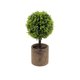 thumbnail image 2 of Artificial Green Plants Simulation Potted Home Office Hotel Lobby Decoration Green Plants Home Decoration Artificial Plants, 2 of 6