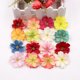 thumbnail image 3 of Gwong Decoración hogareña 10pcs 4.5cm Fake Blossom Head Simulación artificial PLUM FLOWER Head Decoración del hogar para la boda Gwong 21074797, 3 of 6
