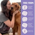thumbnail image 3 of Health Extension Wet Dog Food Little Cups Small Breed Variety Box Chicken & Turkey Recipe (3.5 Oz) | All Life Stages | Added Vitamins & Minerals, 3 of 6