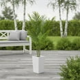 thumbnail image 1 of Yeshouse Palmera artificial, areca tropical alta con macetero alto blanco, árbol artificial en maceta con hojas realistas para decoración de interiores, salas de estar, dormitorios, hogar y oficina, 1 of 7