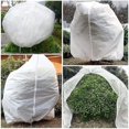 thumbnail image 5 of Set Of 2 Winter Protection For Plants, Protection Against Frost, Winter Protection For Plants, Large Bag Of Potted Plants, 60 X 80 Cm, 5 of 5