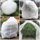 thumbnail image 5 of Set Of 2 Winter Protection For Plants, Protection Against Frost, Winter Protection For Plants, Large Bag Of Potted Plants, 60 X 80 Cm, 5 of 5