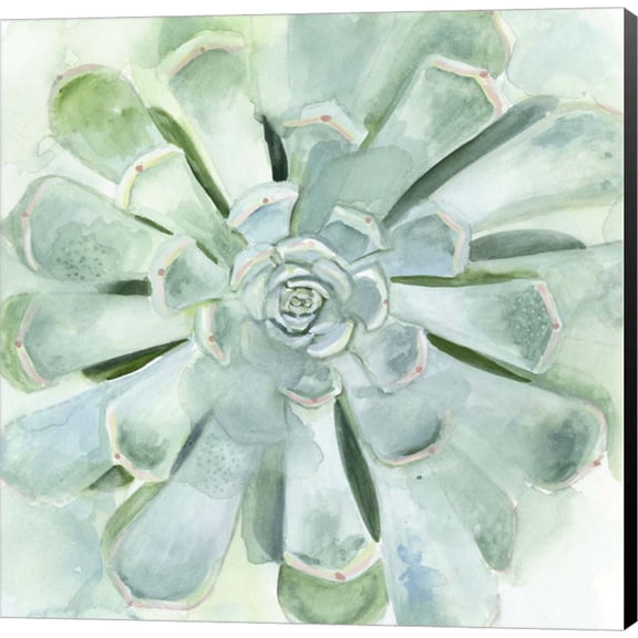 Verdant Succulent IV by Victoria Borges, Canvas Wall Art, 12W x 12H