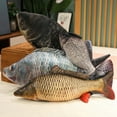 thumbnail image 3 of Simulation Funny Fish Plush Toys Giant Stuffed Soft Animal Carp Plush Pillow Creative Sleep Cushion for Kids Girls Xmas Gift, 3 of 5