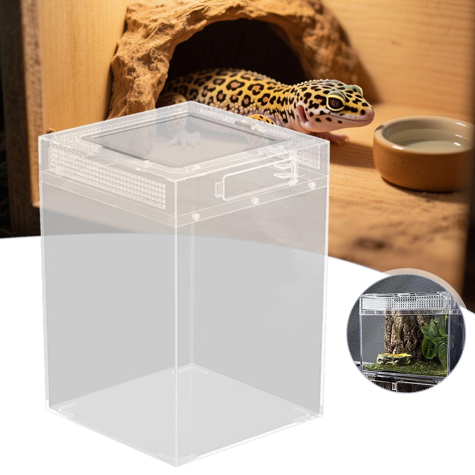 CarpNettore Reptile Terrarium Habitat Cage Portable Clear Reptile Breeding Box Container for L