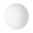 thumbnail image 1 of LED Floating Light Swimming Pool Light Garden Landscape Ball Light, 1 of 7