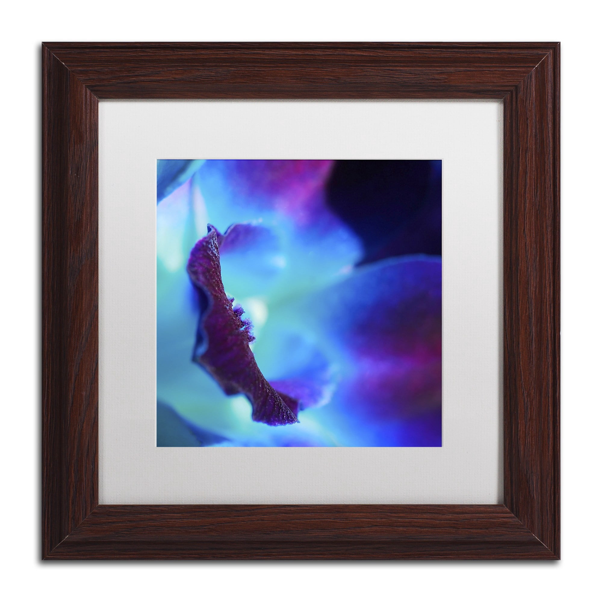 Trademark Fine Art "Colours of Tomorrow" Canvas Art by Beata Czyzowska Young, White Matte, Wood Frame
