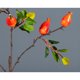 thumbnail image 5 of (1 rama/fruta naranja-roja-rosa especificaciones: aproximadamente 56 cm de largo 1 rama/7 frutas) Flor falsa de plástico de rama de fruta simulada, 5 of 5