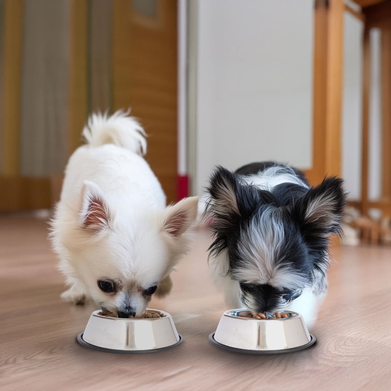 Iconic Pet Stainless Steel Non-Skid Bowls, 8 Oz, 2-Pack photo 6