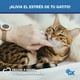 thumbnail image 2 of Rascador para Gatos 75 cm de Alto – Juguetes para Gatos y Cama para Gato Casa para Gato, Cama y Rascador -Todo en 1 El Hogar Perfecto para tu Gato – Rascadores Gatos Incluye Catnip Líquido GOLDEN KING IGLUGRACLA, 2 of 8