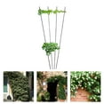 thumbnail image 2 of Flmtop Support de Plante en Métal Anti-Gerçures Anneau Stable Multi-Usage Piquet de Plante Robuste pour la Maison, 2 of 9