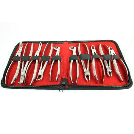 BDEALS English Pattern Dental Extracting Forceps 10 PC Set Dental Instruments