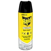 Raid Defense System Indoor and Outdoor Ants, Roaches, Spiders and Flies Insect Killer Bug Spray, 15 oz