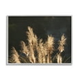 thumbnail image 4 of Stupell Industries Moonlit Pampas Grass Rural Reeds Plant Botanicals Photograph Gray Framed Art Print Wall Art, Design by Gail Peck, 4 of 5