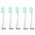 thumbnail image 4 of 10PCS Electric Toothbrush Heads Replacement Brush Heads for Electric Toothbrush Whitening Teeth Brush,Black, 4 of 5