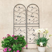 Yoneston 2 Pack Metal Garden Trellis, 71"x19.7" Bird Decorative Arched Trellis for Climbing Plants, Rustproof and Sturdy for Outdoor, Black