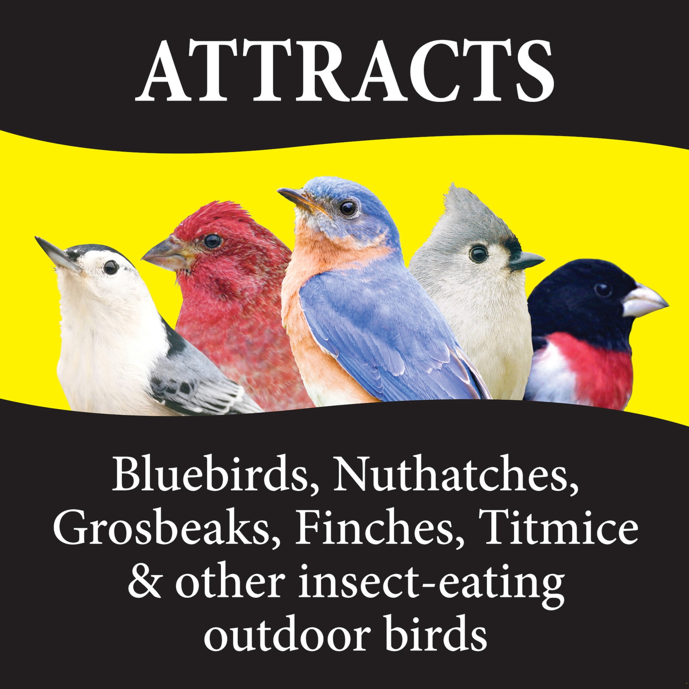 Wild Delight Advanced Formula Bugs N Berries Wild Bird Food 14 lb