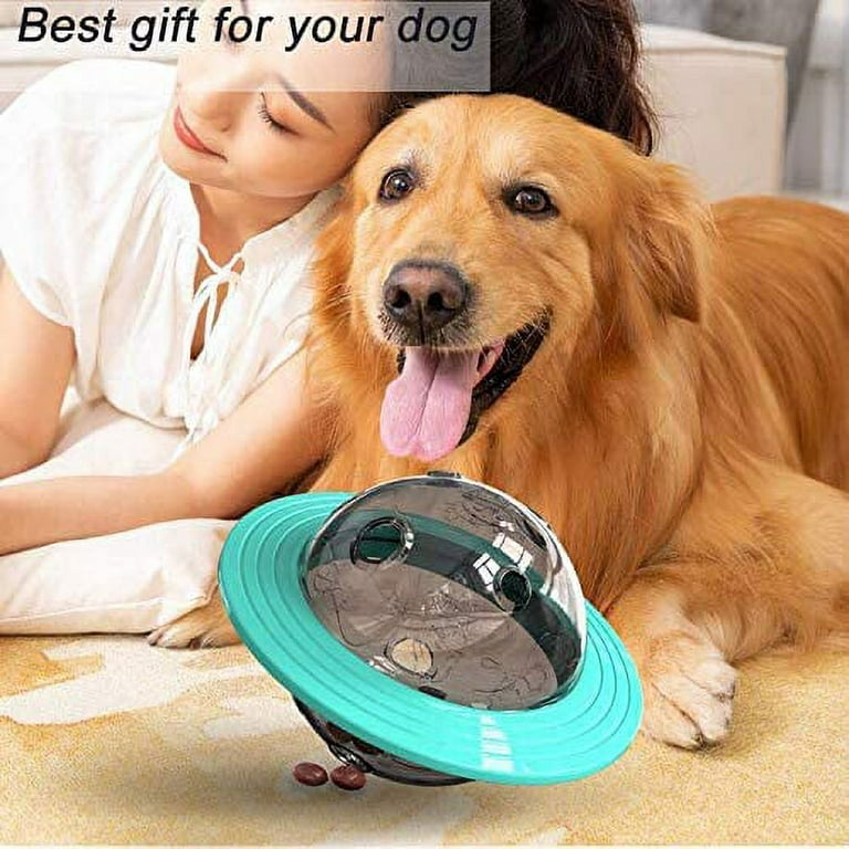Fovien Rolling Feeder Dog Toys, Interactive IQ Treat Ball Dog Toys,  Automatic Pet Slow Feeder, Improve Dog Digestion, Mental Stimulation Treat  Dispensing Puzzle Toys 