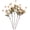 Beige, variant on 5Pcs Artificial Pompon Mum, Fake Kiku Flowers Silk Small Mini Chrysanthemum Ball Faux Mum Decor for Autumn Filler DIY Bouquet Centerpieces Arrangements Shower Bridal Bouquet Wedding