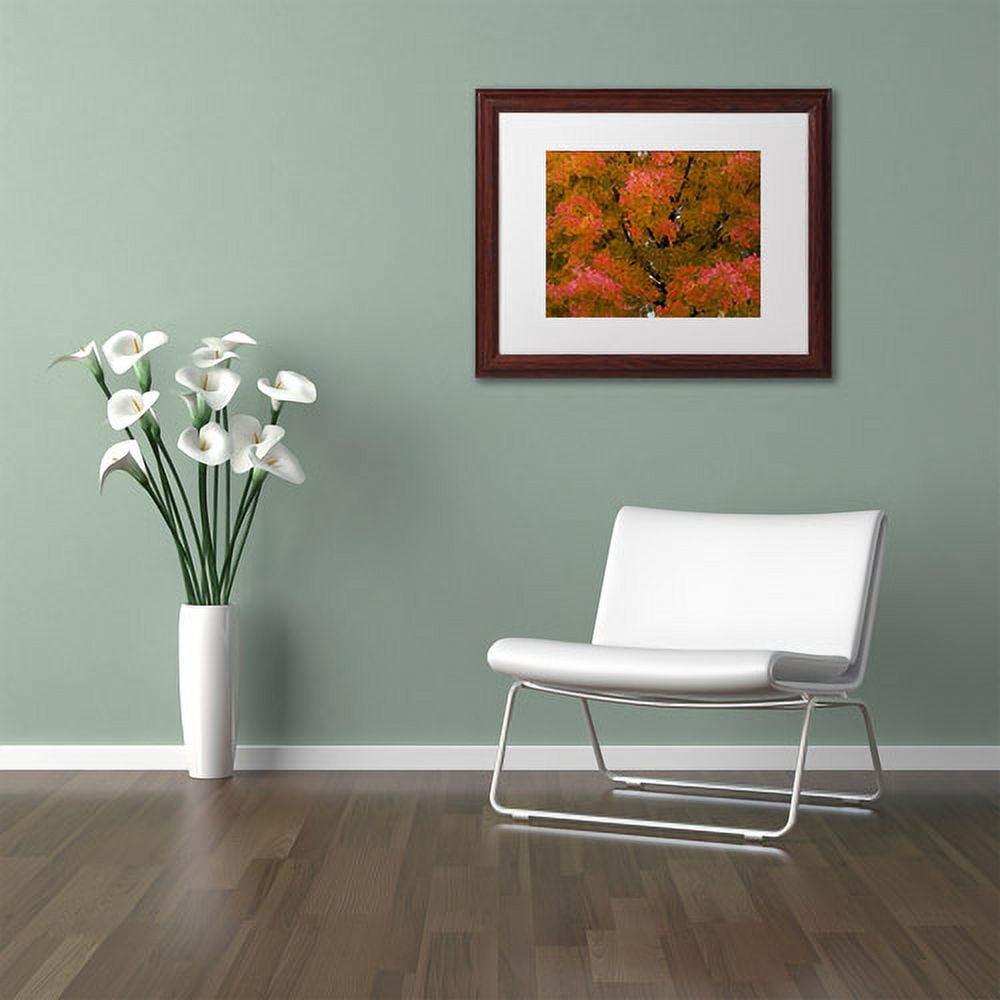 Trademark Fine Art "Autumn Maple Splendor" Canvas Art by Kurt Shaffer White Matte, Wood Frame