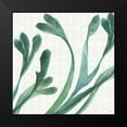 thumbnail image 2 of Audit, Lisa 15x15 Black Modern Framed Museum Art Print Titled - Mixed Greens XXIV, 2 of 5