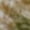 Khaki, variant on asjyhkr Men Cargo Pants Cotton Linen Drawstring Elastic Straight Leg Hiking Beach Pants with Pockets