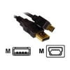 Inland - USB cable - USB (M) to mini-USB Type B (M) - USB 2.0 - 10 ft