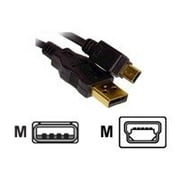 Inland - USB cable - USB (M) to mini-USB Type B (M) - USB 2.0 - 10 ft