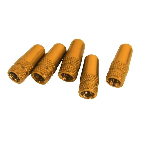 DYNWAVECA 5-Pack Tire Valve Stem Plugs - Replacing Tire Screw Covers - for Gold