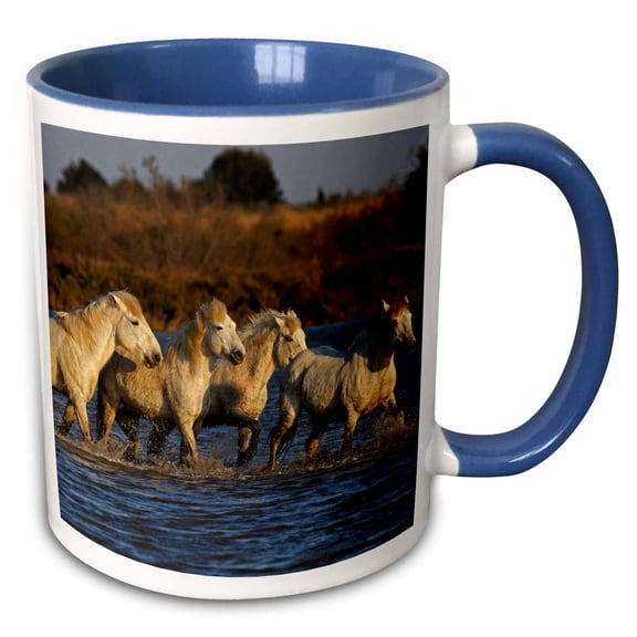 3drose, Camargue Horses in Marshy Wetland, Camargue, France - Eu09 Aje0099 - Adam Jones, 11oz Two-tone Blue Mug